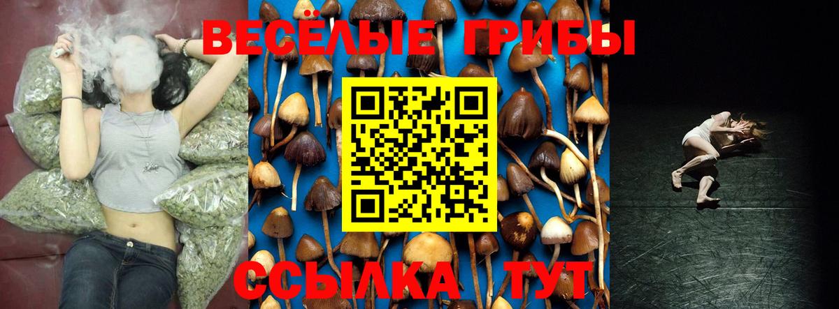 где продают наркотики  Вход с VPN  Баксан  Галлюциногенные грибы Cubensis 